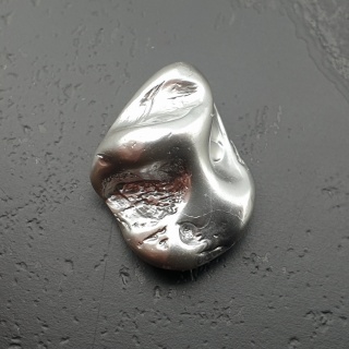 Seashell bryłka z dziurką 19x15 mm nr 230