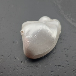 Seashell bryłka z dziurką 19x15 mm nr 99