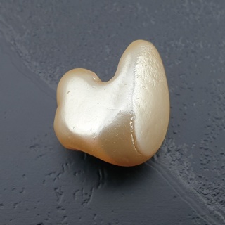 Seashell bryłka z dziurką 19x16 mm nr 197