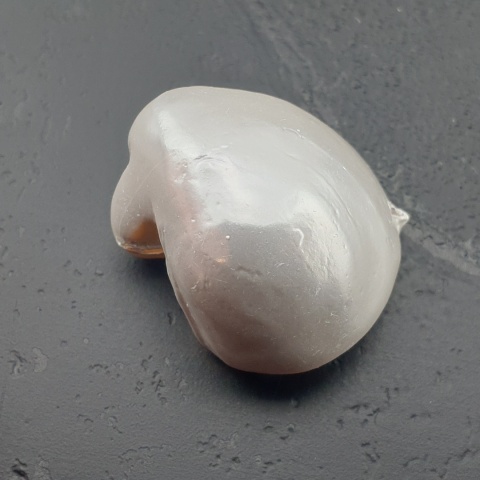 Seashell bryłka z dziurką 19x16 mm nr 87