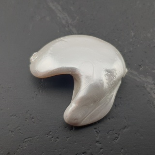 Seashell bryłka z dziurką 19x18 mm nr 19