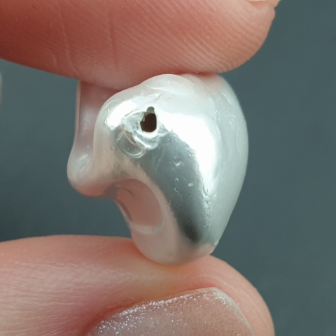 Seashell bryłka z dziurką 20x13 mm nr 16