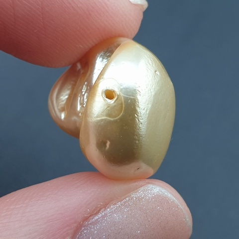 Seashell bryłka z dziurką 20x13 mm nr 183