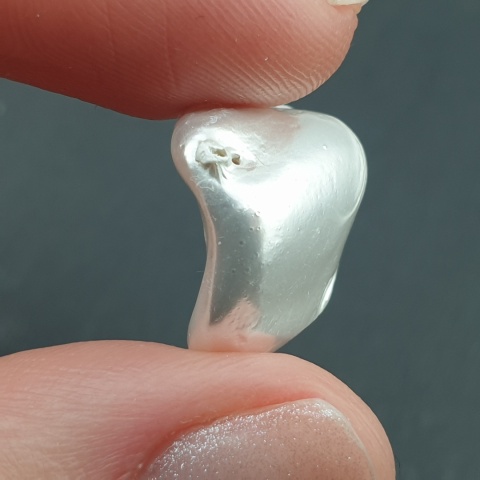 Seashell bryłka z dziurką 20x16 mm nr 14