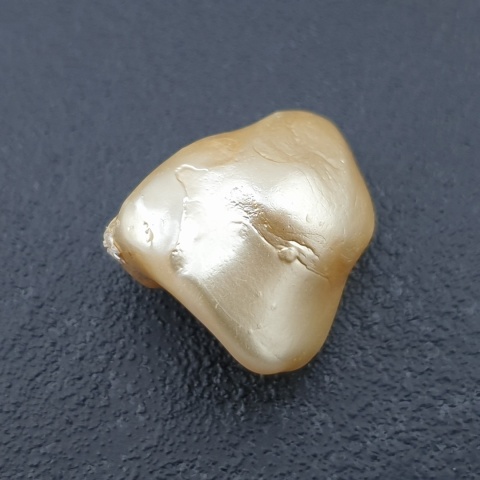 Seashell bryłka z dziurką 20x16 mm nr 180