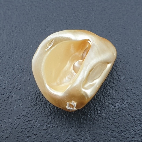 Seashell bryłka z dziurką 20x16 mm nr 180