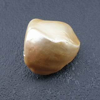 Seashell bryłka z dziurką 20x18 mm nr 194