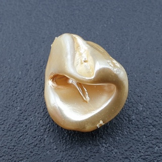 Seashell bryłka z dziurką 20x18 mm nr 194