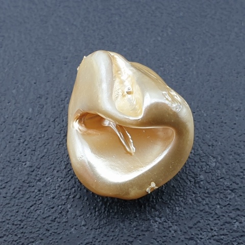 Seashell bryłka z dziurką 20x18 mm nr 194