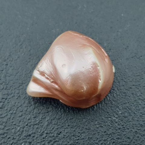 Seashell bryłka z dziurką 21x16 mm nr 142