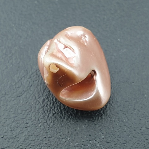 Seashell bryłka z dziurką 21x16 mm nr 142