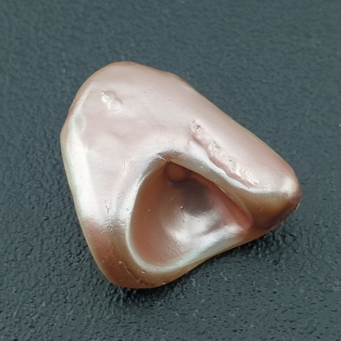 Seashell Nugget with Hole 21x18 mm no 131