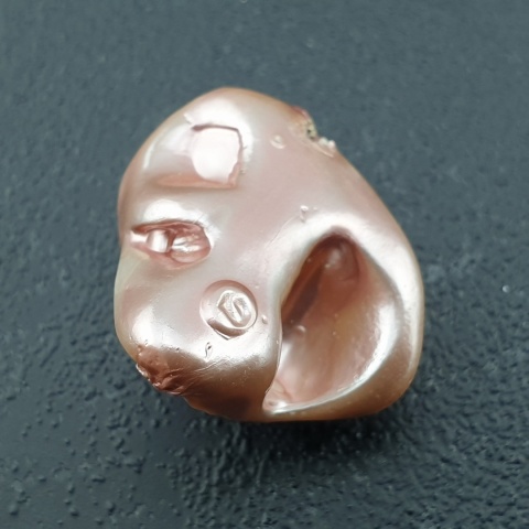 Seashell Nugget with Hole 21x18 mm no 137