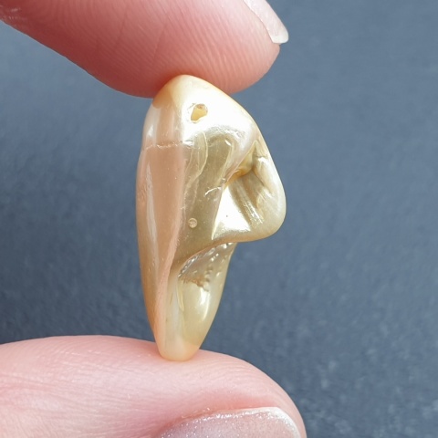 Seashell bryłka z dziurką 22x15 mm nr 193