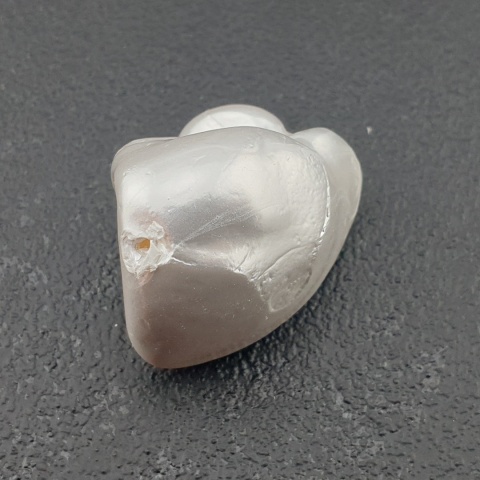 Seashell bryłka z dziurką 22x15 mm nr 6