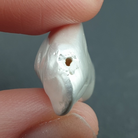 Seashell Nugget with Hole 22x15 mm no 81