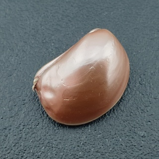 Seashell bryłka z dziurką 22x16 mm nr 152