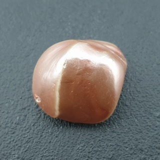 Seashell bryłka z dziurką 22x18 mm nr 150