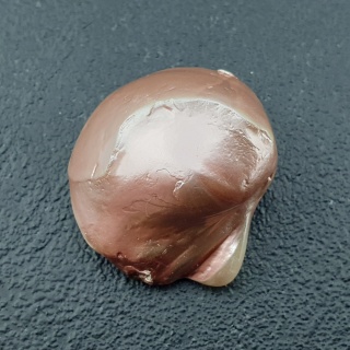 Seashell bryłka z dziurką 22x19 mm nr 144