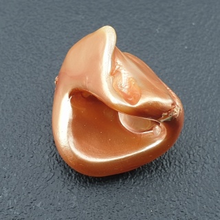 Seashell bryłka z dziurką 22x20 mm nr 161