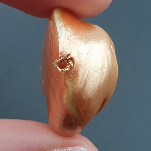 Seashell Nugget with Hole 22x20 mm no 169