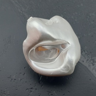 Seashell bryłka z dziurką 22x20 mm nr 29