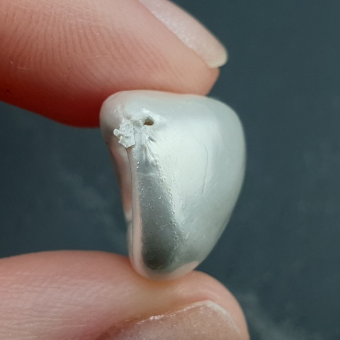 Seashell bryłka z dziurką 23x15 mm nr 23