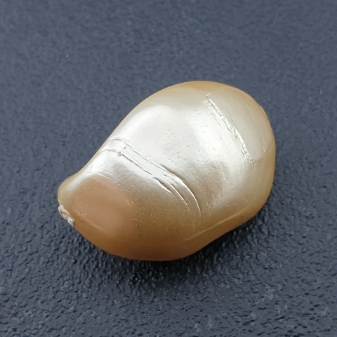Seashell bryłka z dziurką 23x16 mm nr 182