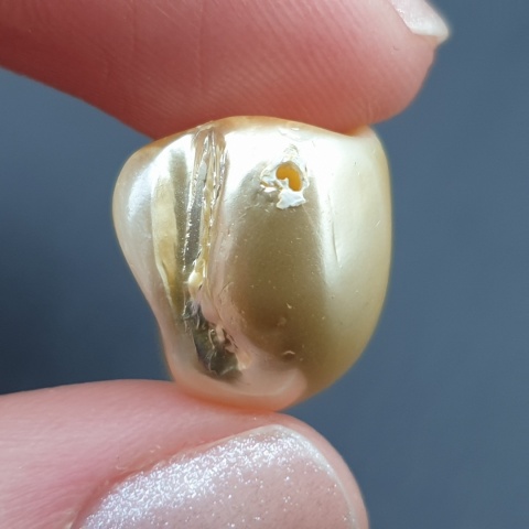 Seashell bryłka z dziurką 23x16 mm nr 182