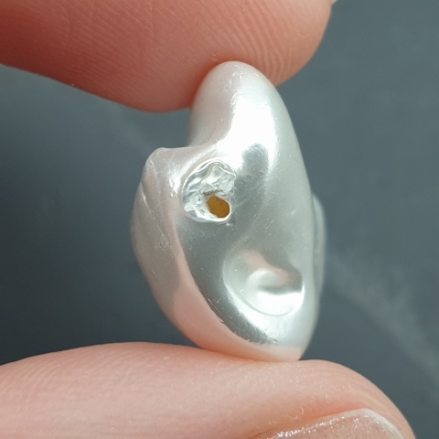 Seashell bryłka z dziurką 23x16 mm nr 80