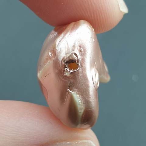 Seashell Nugget with Hole 23x17 mm no 140