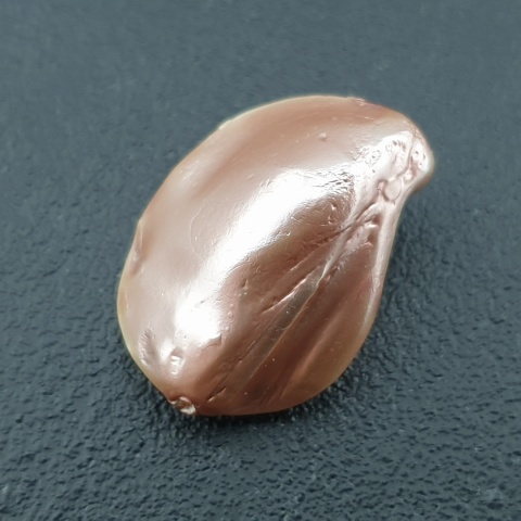 Seashell Nugget with Hole 23x17 mm no 149