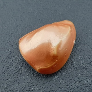 Seashell bryłka z dziurką 23x17 mm nr 158