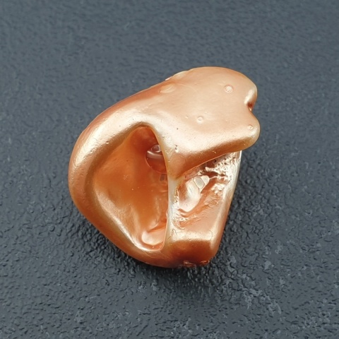 Seashell bryłka z dziurką 23x17 mm nr 158