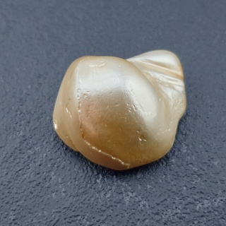 Seashell bryłka z dziurką 23x18 mm nr 181