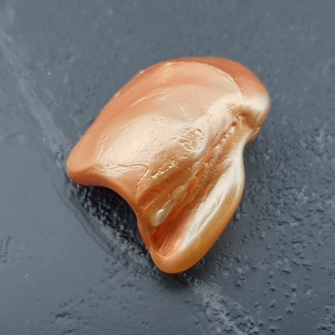 Seashell Nugget with Hole 23x19 mm no 163