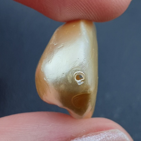 Seashell bryłka z dziurką 23x19 mm nr 185