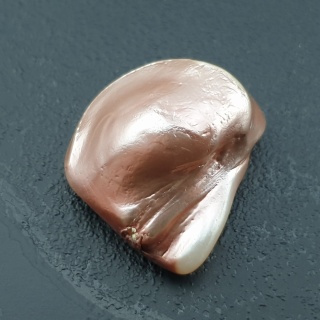 Seashell bryłka z dziurką 23x20 mm nr 132