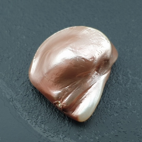 Seashell bryłka z dziurką 23x20 mm nr 132