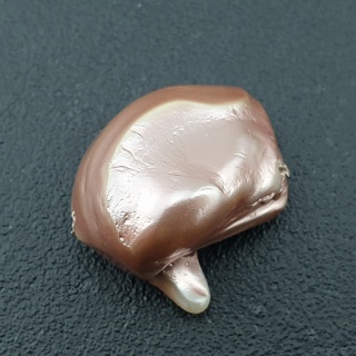 Seashell bryłka z dziurką 23x20 mm nr 148