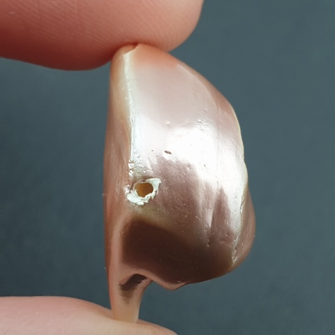 Seashell bryłka z dziurką 23x20 mm nr 148