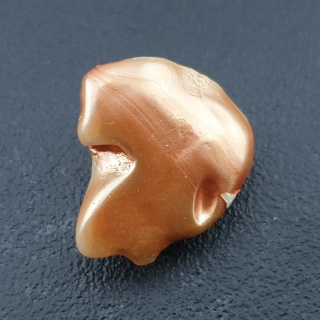 Seashell bryłka z dziurką 23x20 mm nr 160