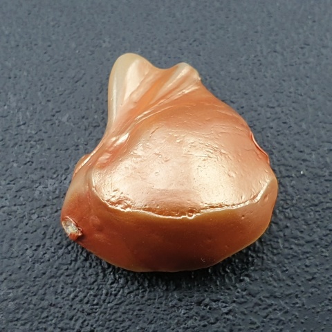 Seashell bryłka z dziurką 23x20 mm nr 160