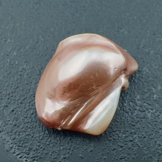 Seashell bryłka z dziurką 24x18 mm nr 138