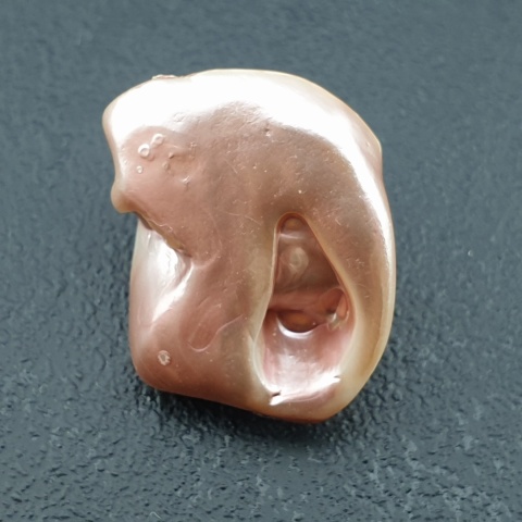 Seashell Nugget with Hole 24x18 mm no 138