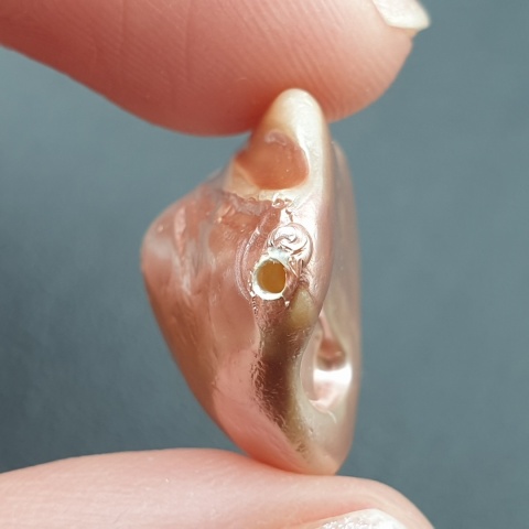 Seashell bryłka z dziurką 24x18 mm nr 146