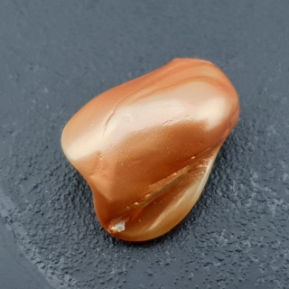 Seashell bryłka z dziurką 24x18 mm nr 173