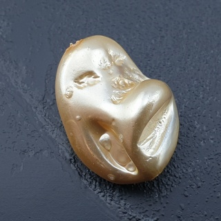 Seashell bryłka z dziurką 24x18 mm nr 190