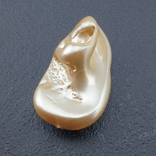 Seashell bryłka z dziurką 25x16 mm nr 186