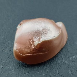 Seashell bryłka z dziurką 25x19 mm nr 134